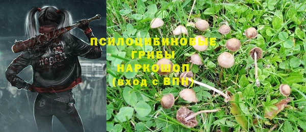 MESCALINE Алзамай