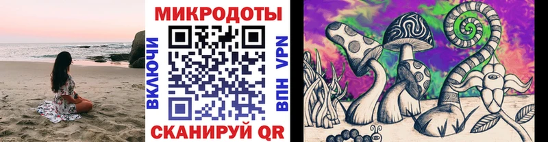 купить наркотик  Тогучин  Псилоцибиновые грибы Psilocybe 